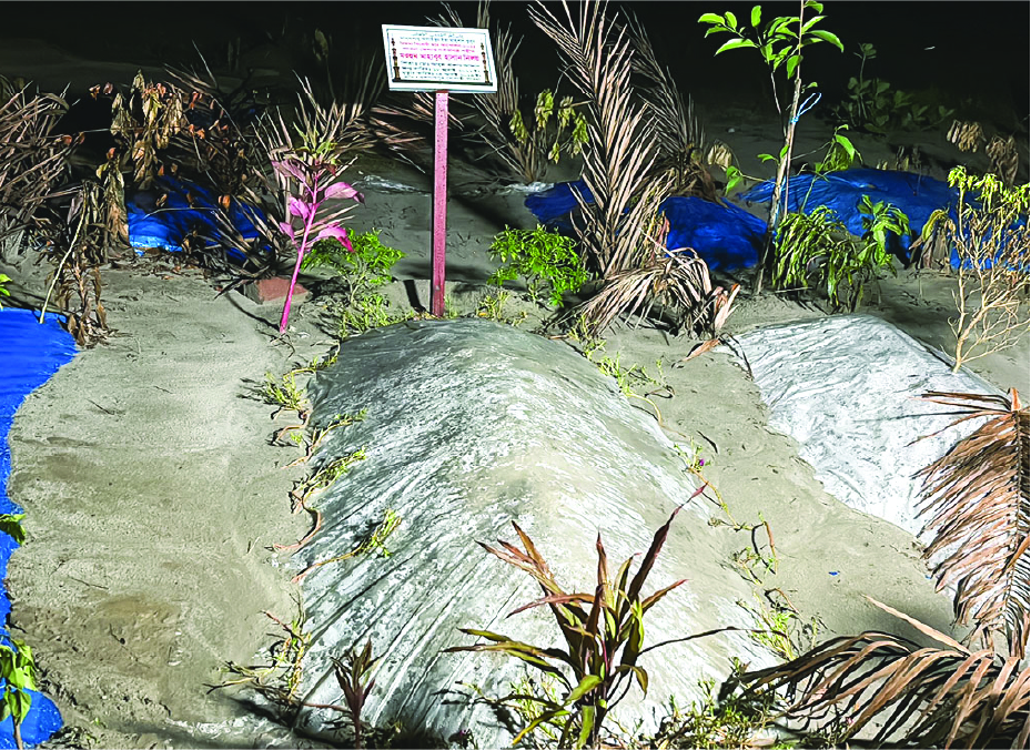 Image of  মো: মাহবুব হাসান নিলয়